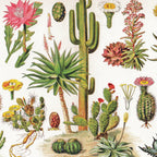 Cacti & Cactus – 1000 Piece Jigsaw Puzzle