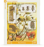 Bees & Honey