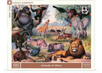 Animals of Africa – 1000 Piece Jigsaw Puzzle