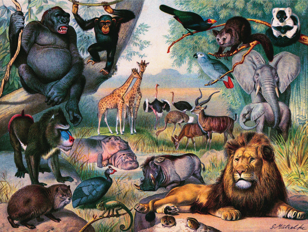 Animals of Africa – 1000 Piece Jigsaw Puzzle