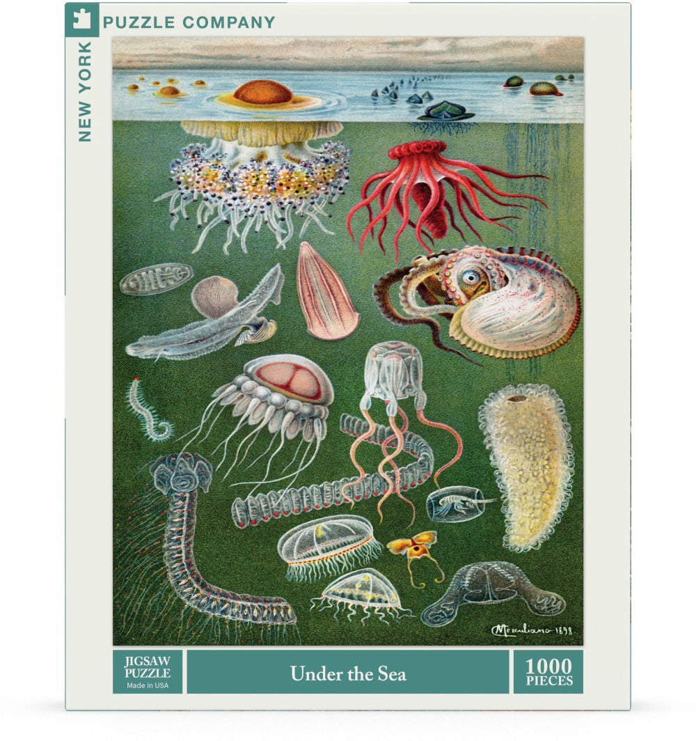 Under the Sea – 1000 Piece Jigsaw Puzzle