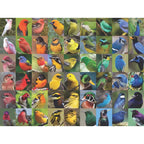 Rainbow of Birds - 1000 Piece Jigsaw Puzzle