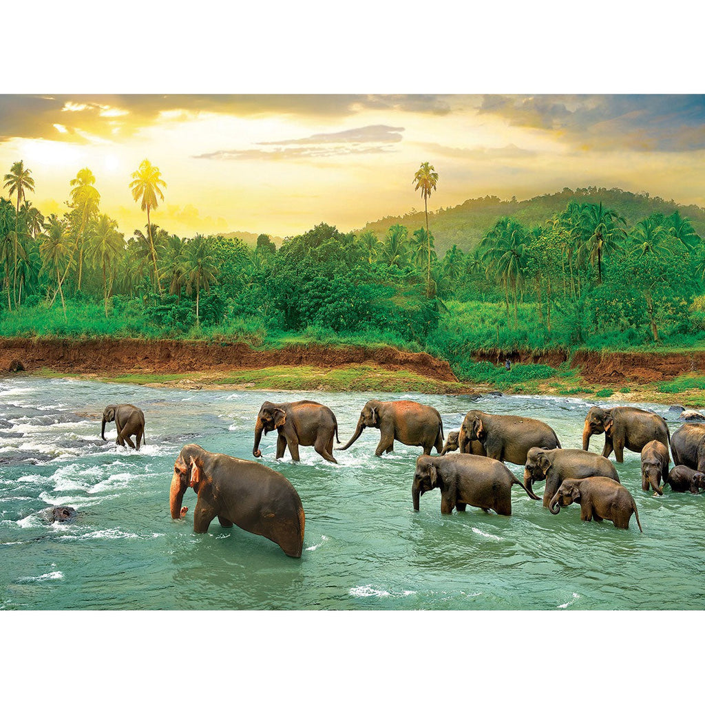Rainforest – Elephants 1000 Piece Puzzle