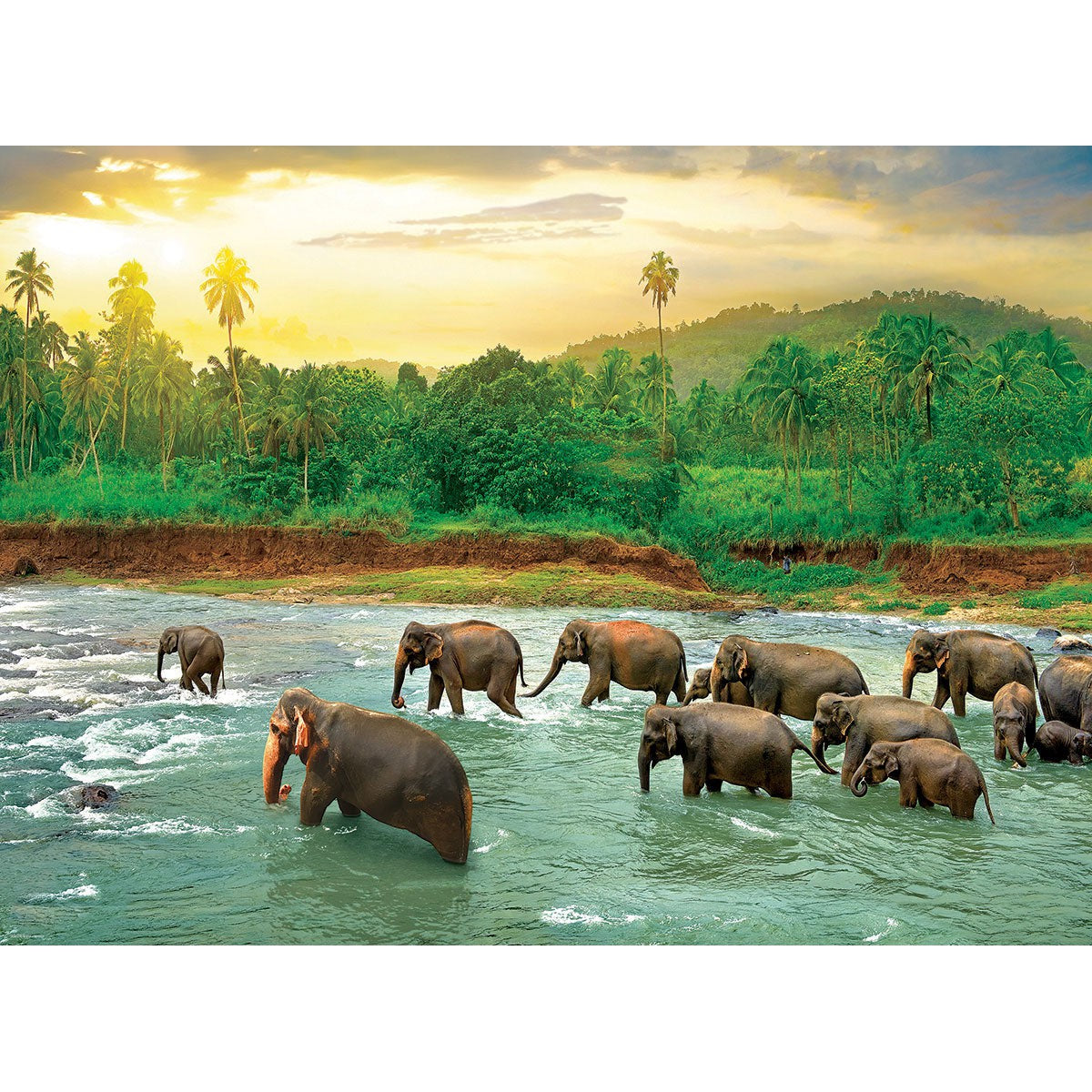Rainforest – Elephants 1000 Piece Puzzle