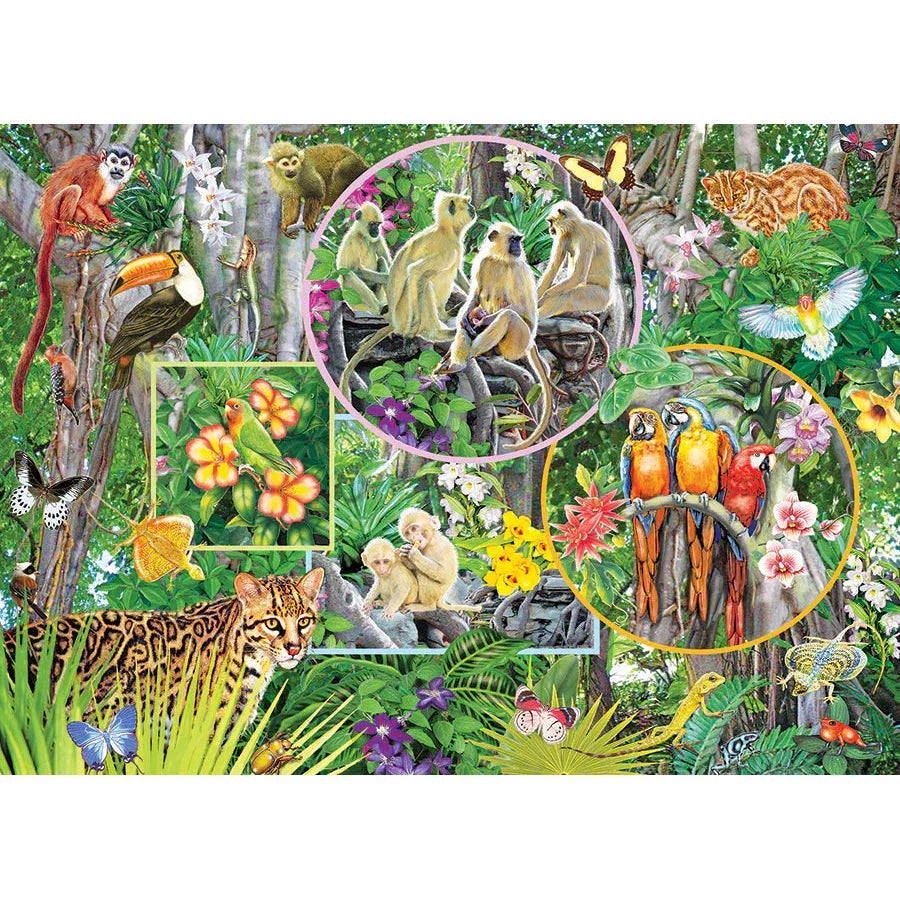 Rainforest Magic – Wildlife 350 Piece Puzzle