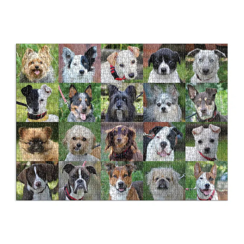 Rescue Dogs – 1000 Piece Dog Puzzle