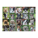 Rescue Dogs – 1000 Piece Dog Puzzle