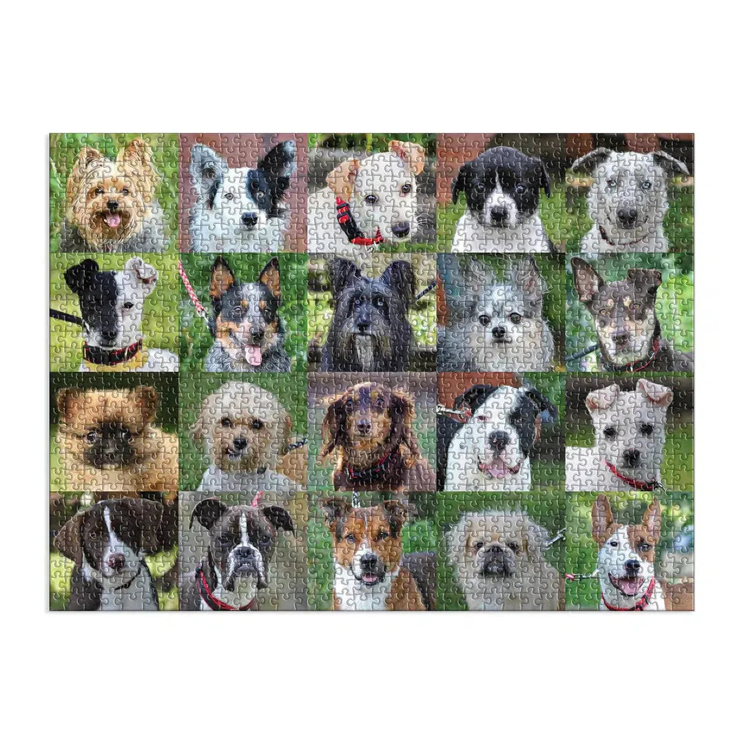 Rescue Dogs – 1000 Piece Dog Puzzle
