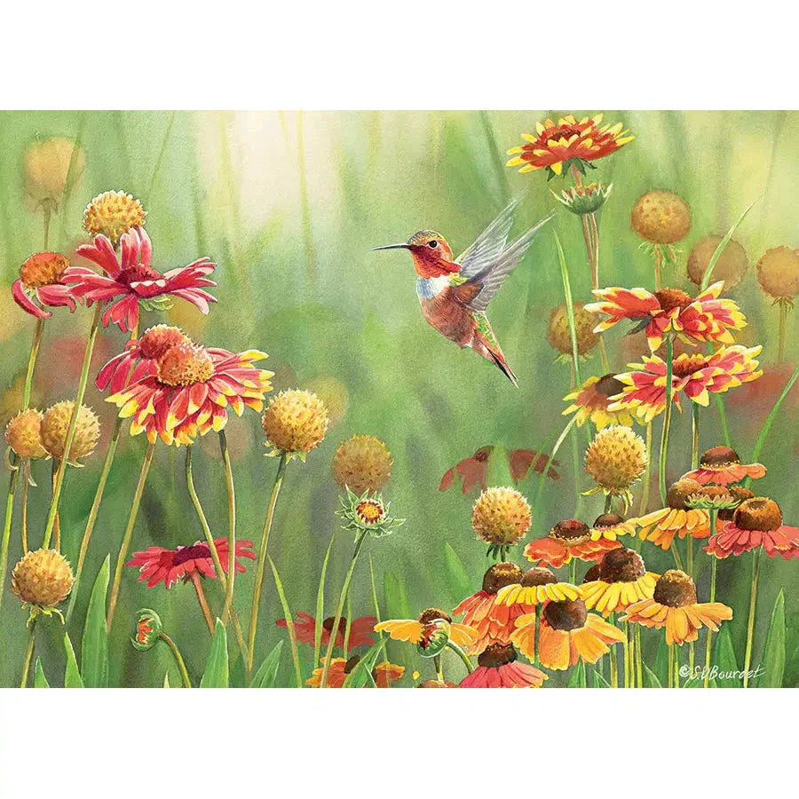 Rufous Hummingbird – 500 Piece Puzzle