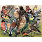 Songbirds – 1000 Piece Puzzle