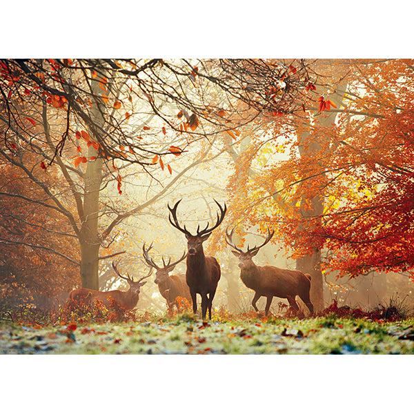 Stags Magic Forests – Deer 1000 Piece Puzzle