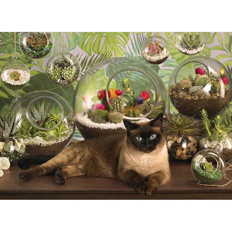 Terrarium Cat – 1000 Piece Jigsaw Puzzle