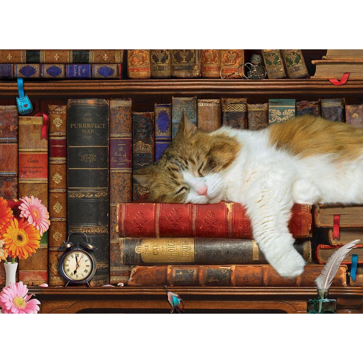 The Cat Nap – 500 Piece Jigsaw Puzzle