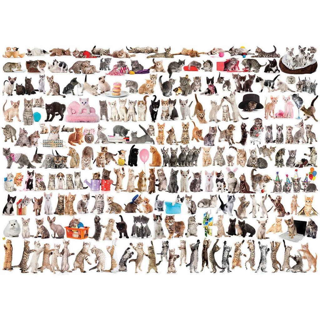 The World of Cats – Cat Breeds 1000 Piece Puzzle