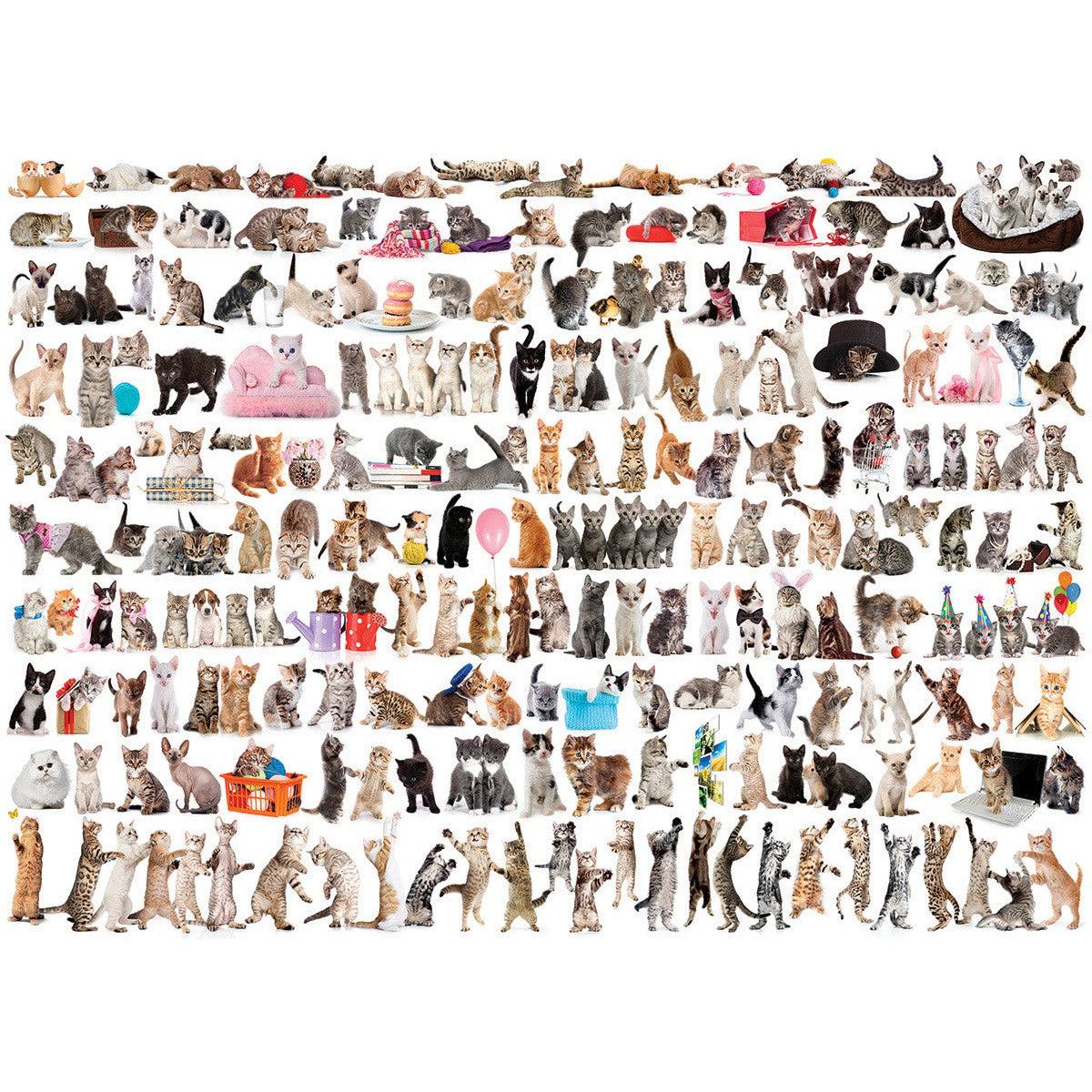 The World of Cats – Cat Breeds 1000 Piece Puzzle