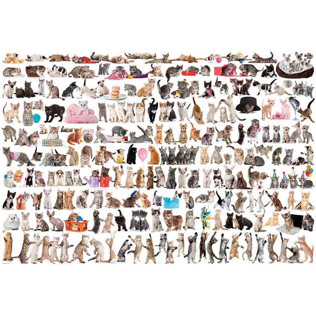 The World of Cats – Cat Breeds 2000 Piece Puzzle for Adults