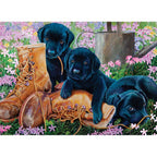 Trouble in the Garden - 500 Piece Jigsaw Puzzle
