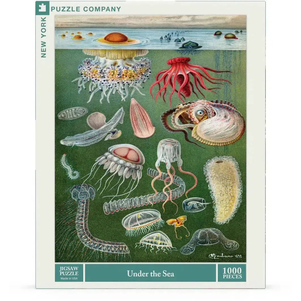 Under the Sea – 1000 Piece Ocean Puzzle