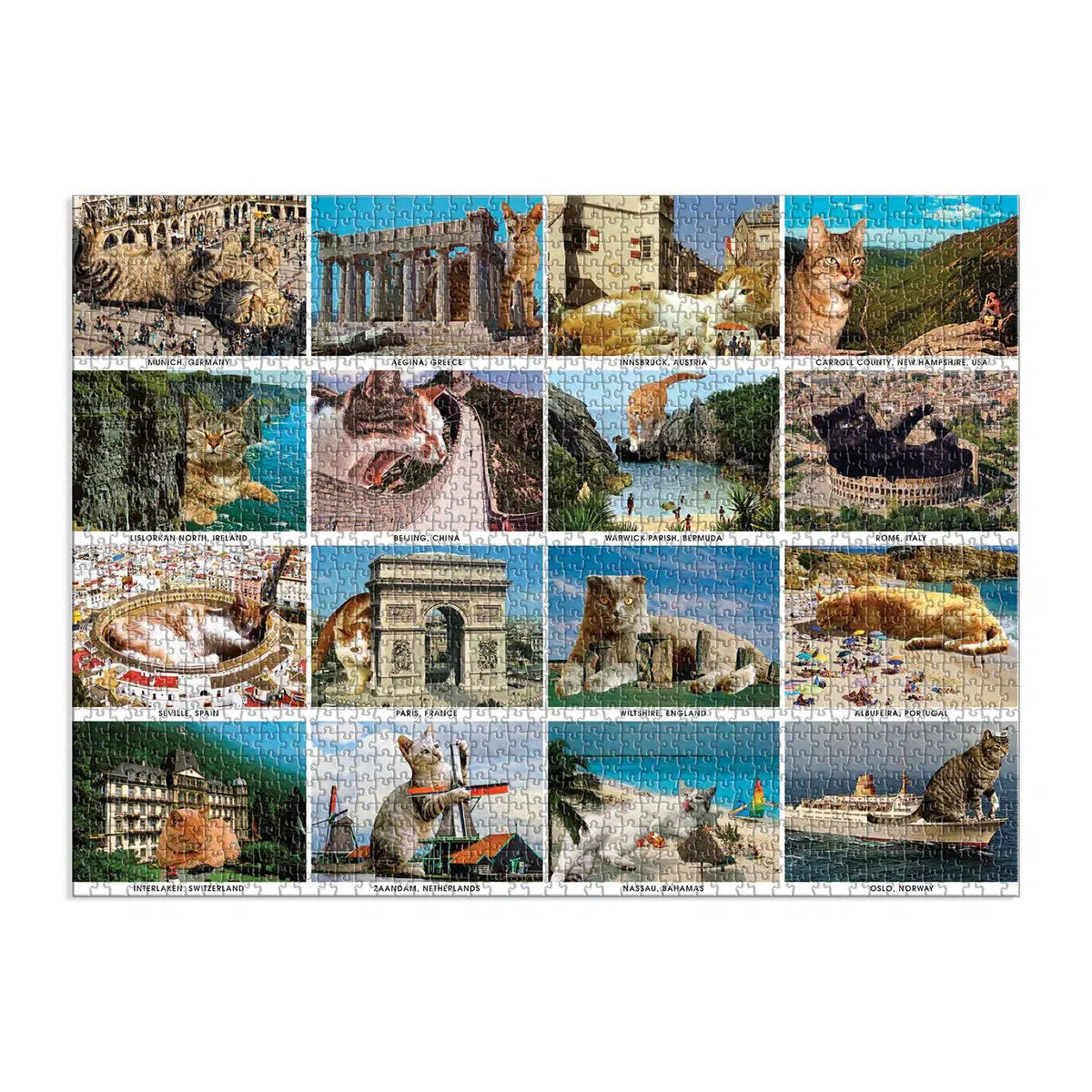 Vacation Cats – 1500 Piece Adult Jigsaw Puzzle