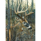 White-Tailed Deer - 1000 Piece Jigsaw Puzzle