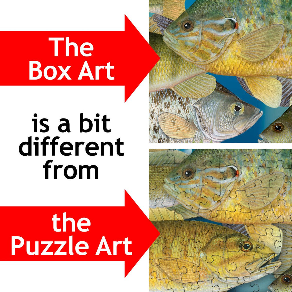 Fish Frenzy! – Fish 1000 Piece Puzzle