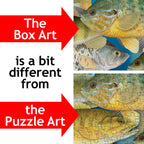 Fish Frenzy! – Fish 1000 Piece Puzzle