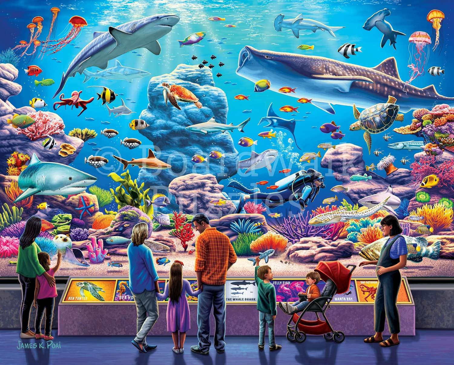 Aquarium - 1000 Piece Jigsaw Puzzle