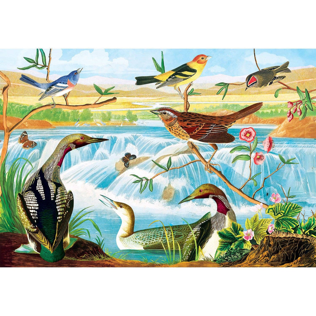 Birds – 2000 Piece Puzzle for Adults