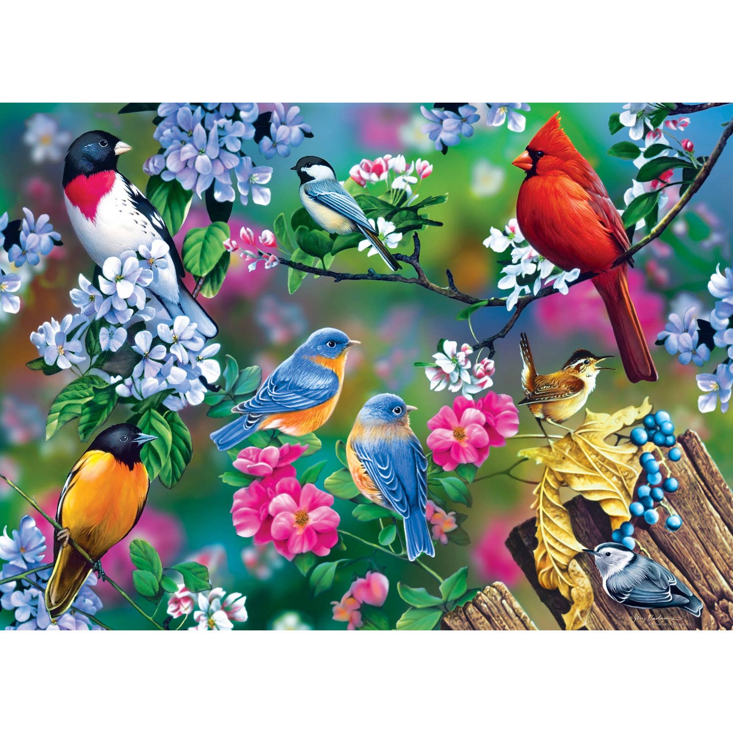 Songbird Collage - 1000 Piece Jigsaw Puzzle