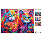 Rainbow Cat Whiskers – 1000 Piece Jigsaw Puzzle