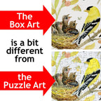 Birds of North America – 1000 Piece Jigsaw Puzzle