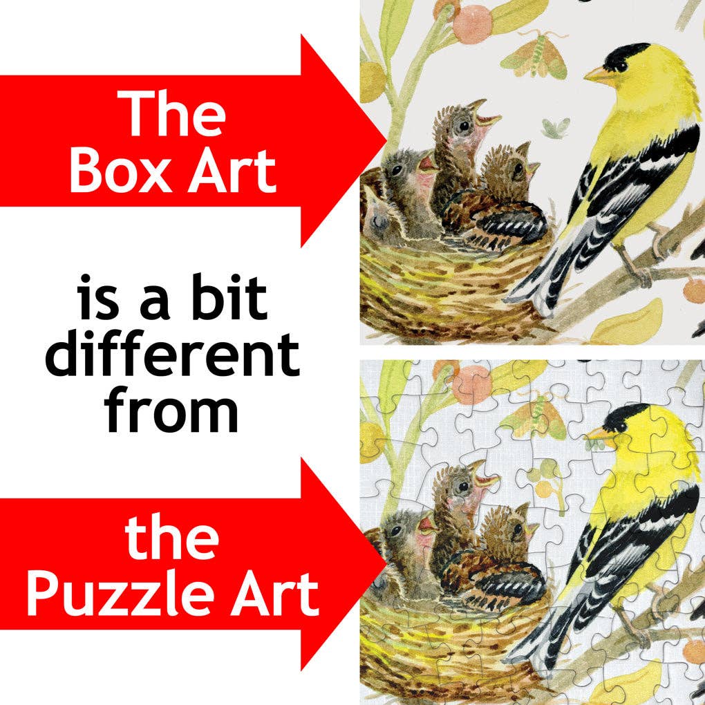 Birds of North America – 1000 Piece Jigsaw Puzzle