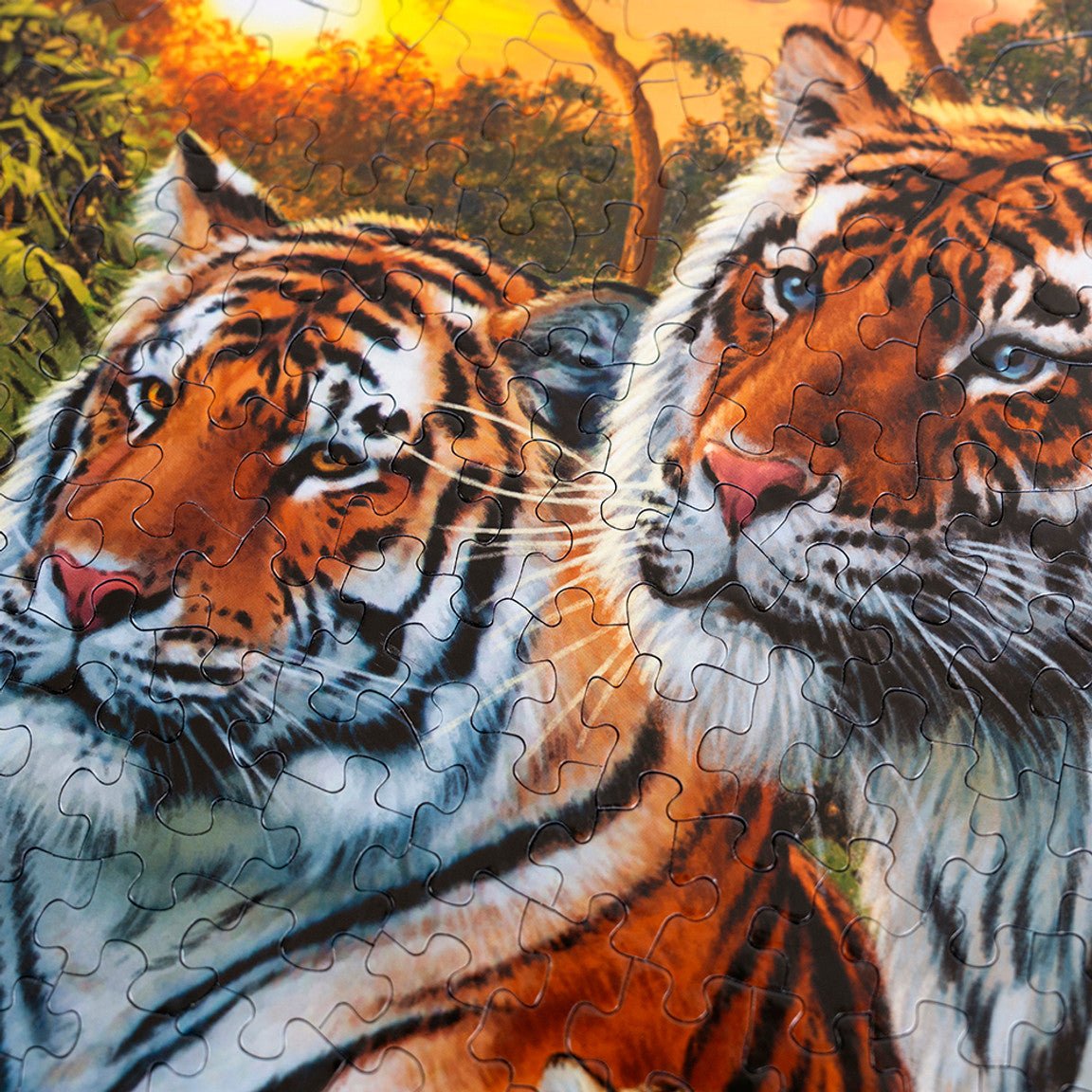 Hidden Tigers - 400 Piece Jigsaw Puzzle