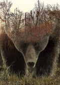 Bear - 1000 Piece Jigsaw Puzzle