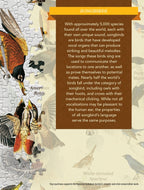 Songbirds – 1000 Piece Puzzle