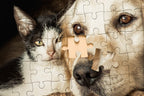 Custom Image - 200, 300, 500, 1000, 1500, 2000 Piece Jigsaw Puzzle