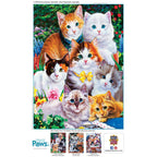 Playful Paws Cats – 300 Piece Jigsaw Puzzle