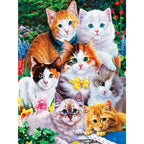 Playful Paws Cats – 300 Piece Jigsaw Puzzle