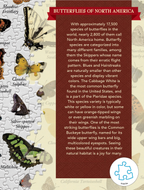 Butterflies of North America 1000 Piece Puzzle