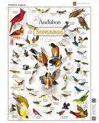 Songbirds – 1000 Piece Puzzle